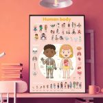 POPPIK | Discovery Human Body | 4+
