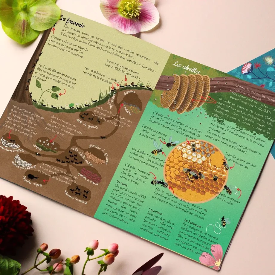 L’ATELIER IMAGINAIRE - kit créatif Les Insectes