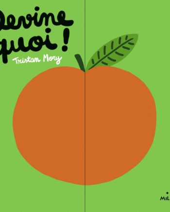 TRISTAN MORY | DEVINE QUOI - LIVRE