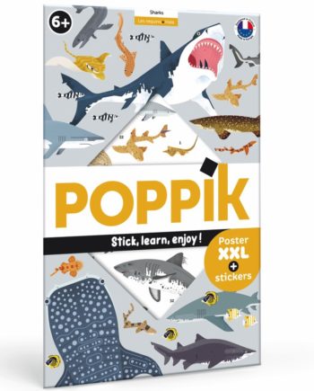 POPPIK | Discovery REQUINS 6+