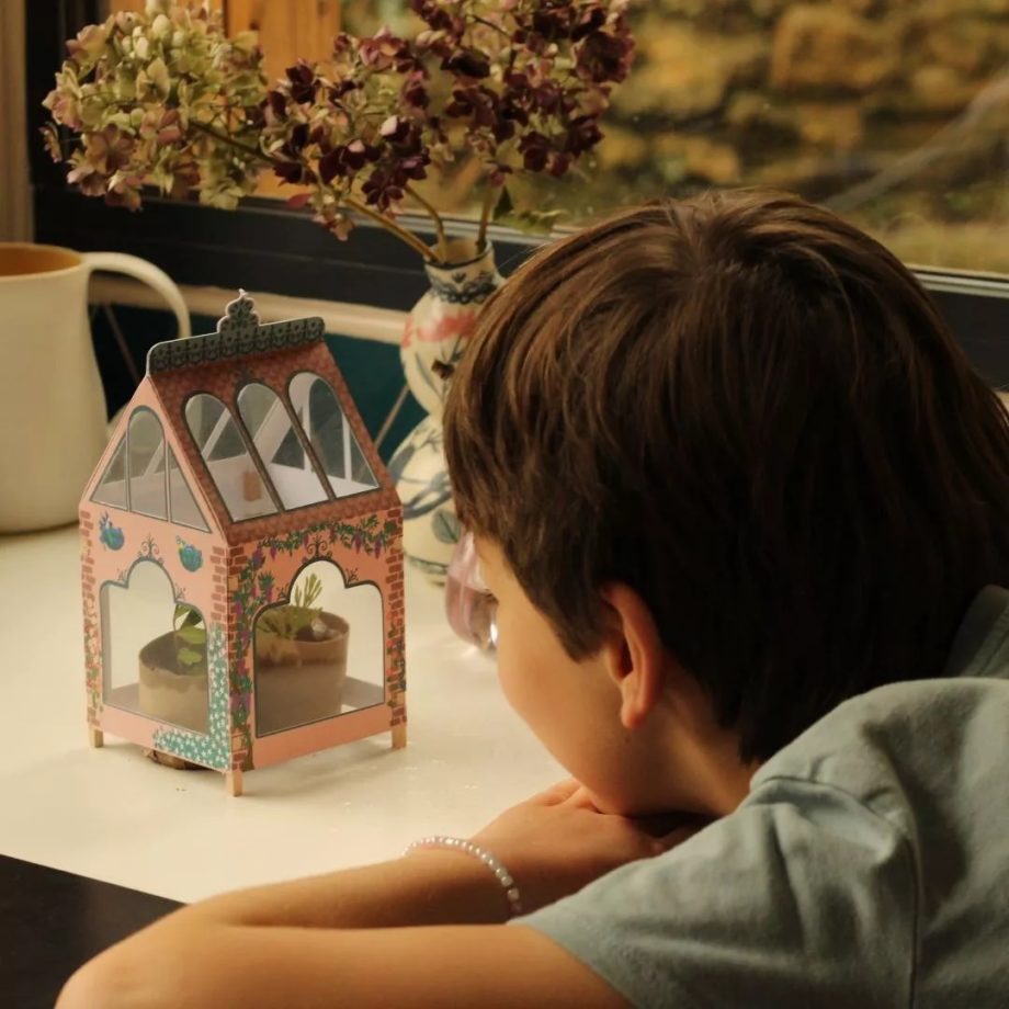 L’ATELIER IMAGINAIRE | Kit Serre Végétale à fabriquer - Kit bricolage/activité