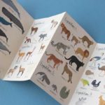 LONDJI | ANIMAL PLANET PUZZLE 5+