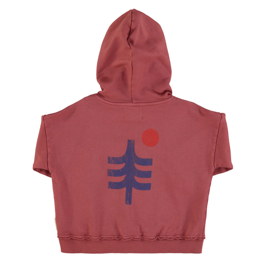 PIUPIUCHICK | hooded sweatshirt | aubergine w/ mountain lake" print