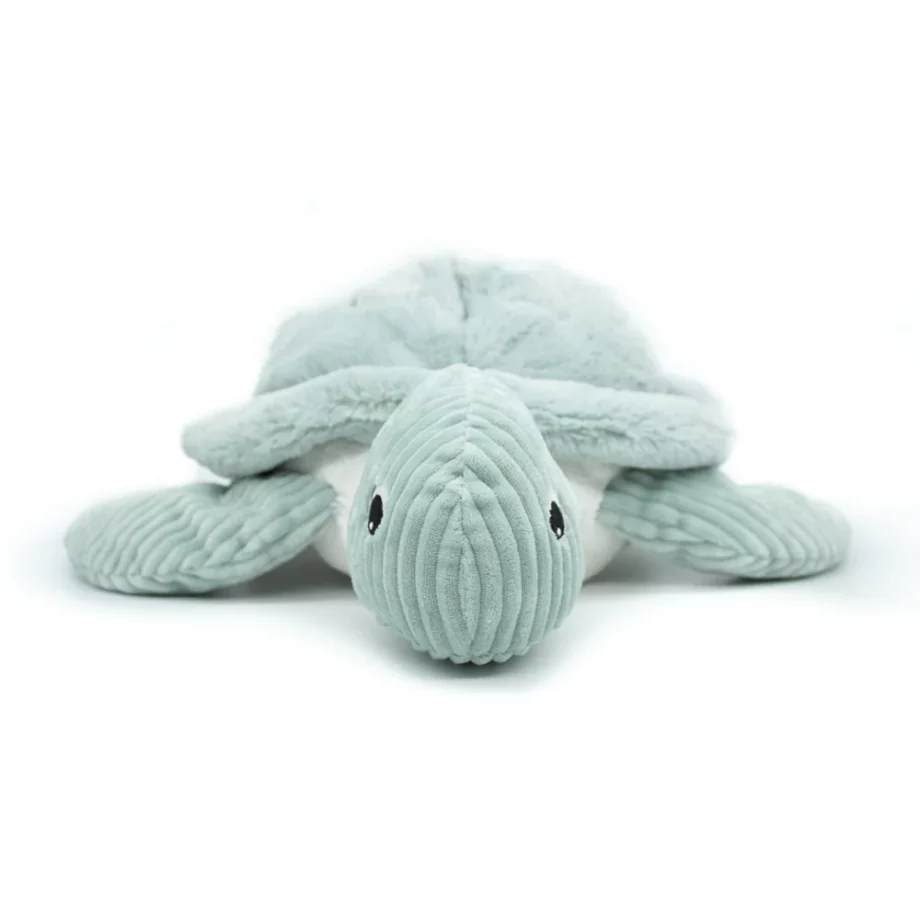 LES PTIPOTOS | tortue Sauvenou maman et son bébé menthe