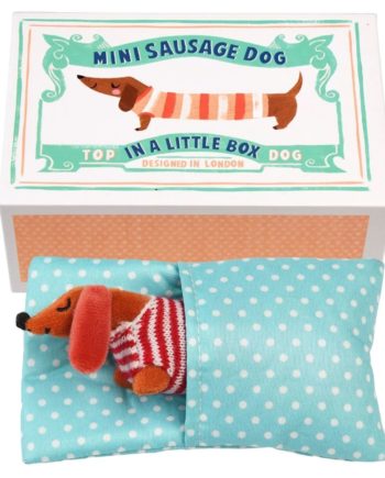 REX LONDON | MINI CHIEN SAUCISSE DANS UNE PETITE BOÎTE