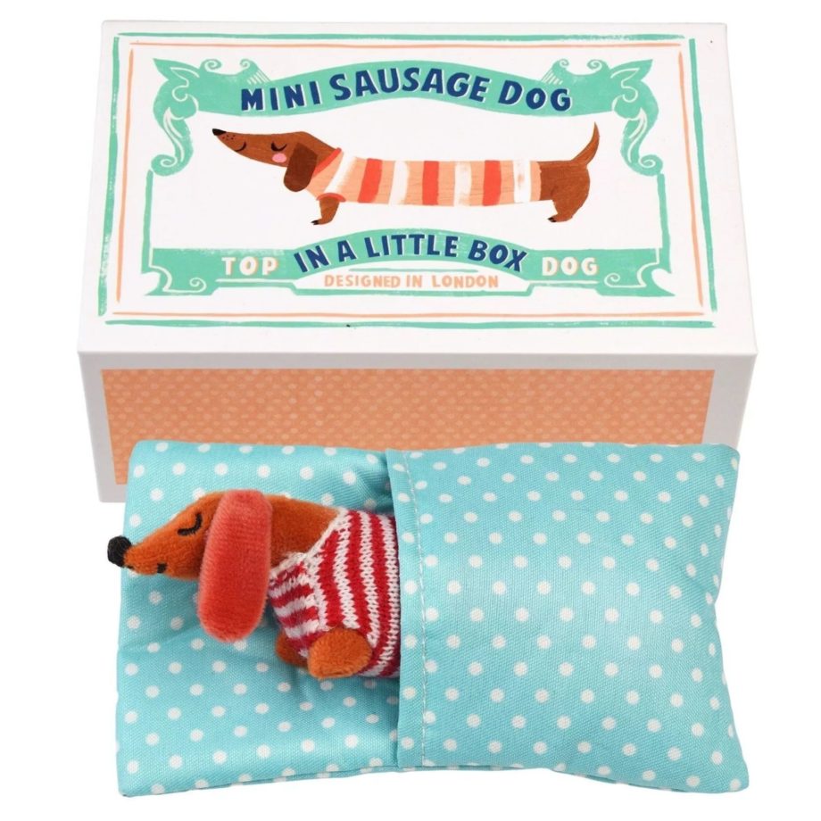 REX LONDON | MINI CHIEN SAUCISSE DANS UNE PETITE BOÎTE