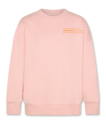 AO76 | PERCY sweater noodles Light Rosa