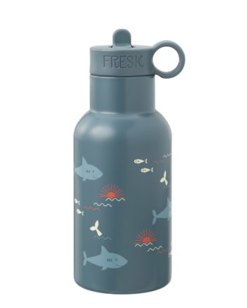FRESK - Gourde Isotherme en acier inoxydable - REQUINS