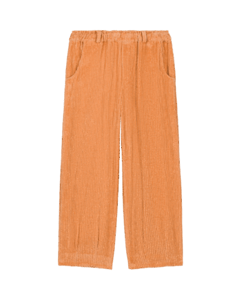 WE ARE KIDS |  PANTALON ELIA CORDUROY PUMPKIN