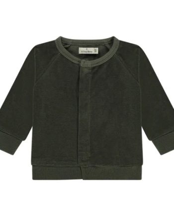 A TINY STORY |  Cardigan Basil