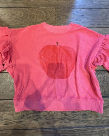 SECOND LIFE | PIUPIUCHICK SWEAT ÉPONGÉ POMME 6 ans