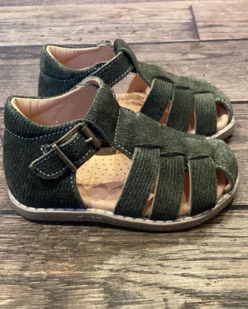 OCRA | 216 26E6 Antigua Pine