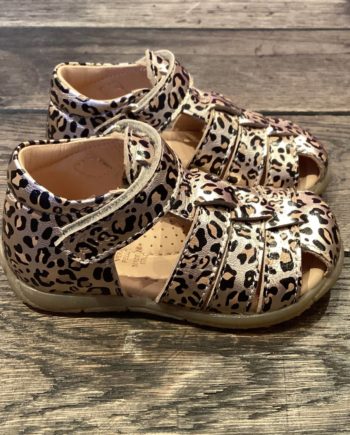 OCRA | 590 26E16 Giaguarino Cooper Natural