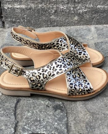 OCRA | D447 26E15 Platino