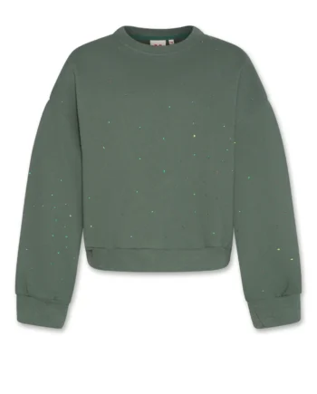 AO76 | noemi sweater strass forest