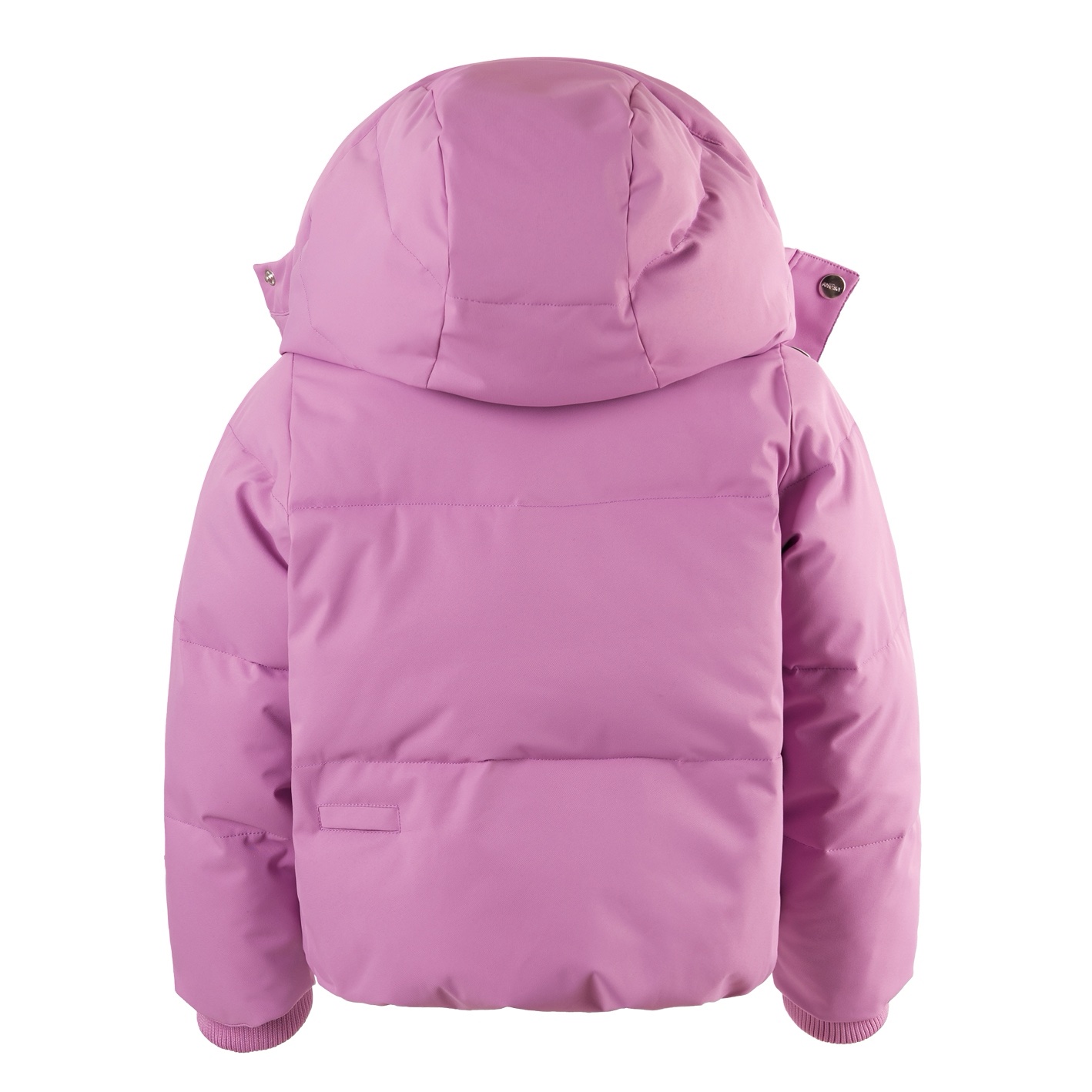 GOSOAKY | Crabbie Pattie Crocus Pétale Purple