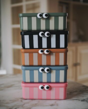 NOUI NOUI  | Lunch Box 3 compartiments